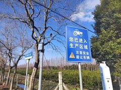 -上海长兴岛郊野公园