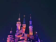 -上海迪士尼度假区