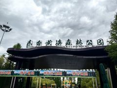 -黄海国家森林公园