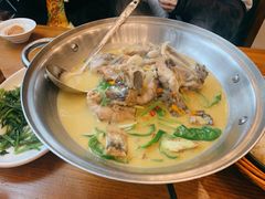 -饭怕鱼(阳光100店)