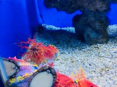 -常州海昌海洋探索馆