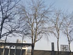 -中央民族大学