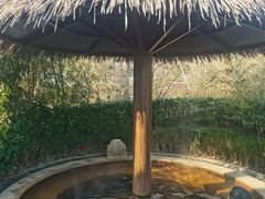 -大连金石滩绿发温泉假日酒店