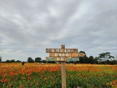 -汉长安城未央宫国家考古遗址公园