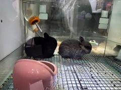 -宝鸡东道花鸟鱼虫市场(吉利花园商场店)