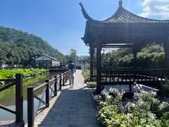 -荷塘味道(水长城店)