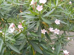 -华南国家植物园-售票处