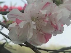 -滨湖塘西河公园