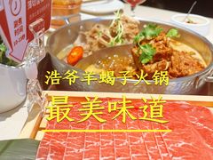 -浩爷羊蝎子火锅(望京店)