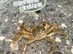 -SHRIMP CLUB万东餐饮钓虾·清吧