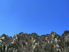 -王顺山国家森林公园