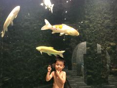 -弘安丽水温泉酒店