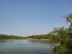 -昆山城市生态森林公园