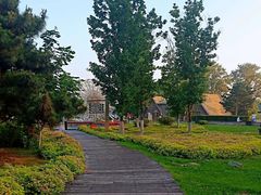-蒲河岛湿地公园