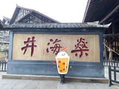 -燊海井