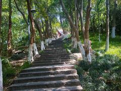 -赭山公园