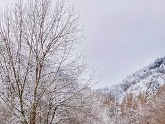 -秦岭风景区