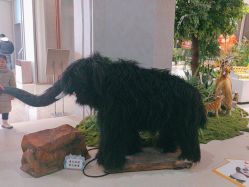 -IMON·HANSA潮玩玩偶毛绒玩具(通州万象汇店)