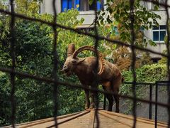-昆明动物园