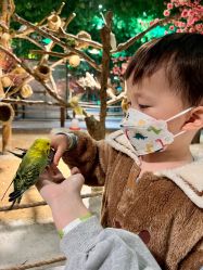 -酷嗒动物文化乐园(cutezoo西溪乐天城店)