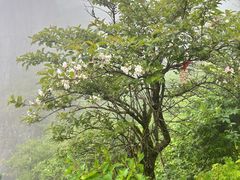 -萍乡武功山风景名胜区