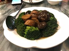 -松峰素食