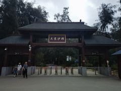 -大京沙滩