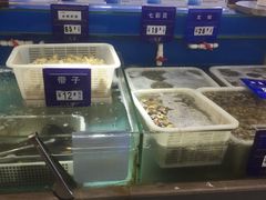 -十里铺铁板鱿鱼