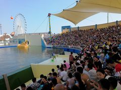 -秦皇岛乐岛海洋王国