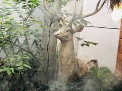 -边渡咖啡烘焙店(昙华林店)