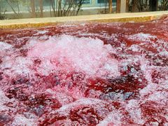 -春晖园度假酒店温泉