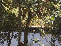 -白云中餐厅·粤菜·亚龙湾喜来登度假酒店