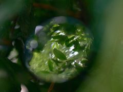 -杭州西湖风景名胜区-满觉陇四眼井