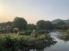 -杭州双溪漂流景区