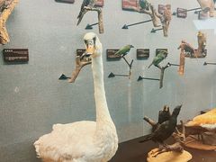 -昆明动物博物馆