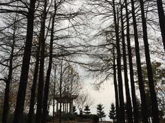 -四明山国家森林公园