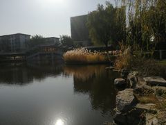 -西海子公园