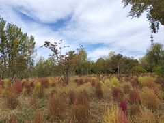 -野鸭湖国家湿地公园