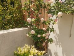 -一米阳光咖啡店(百通尚风尚水店)