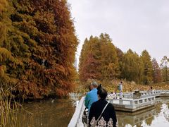 -白塘生态植物园