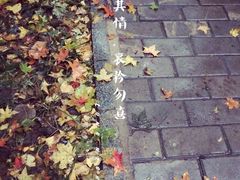 -山东大学(趵突泉校区)