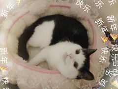 -粒上皇(上海瞿溪路店)