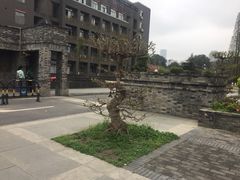 -四川大学(华西校区)