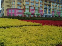 -百万葵园