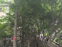 -狼山风景名胜区