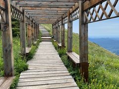 -白草畔自然风景区