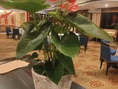 -杭州香格里拉·香宫中餐厅