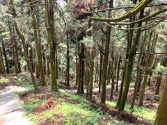 -南岳衡山风景名胜区