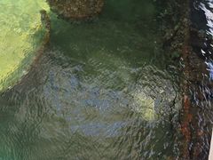 -珍珠港国家纪念馆