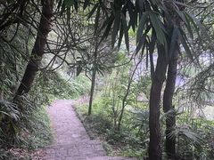 -黄山翡翠谷景区